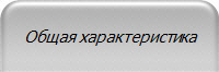 Общая характеристика